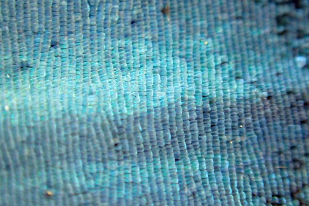 Konya’nın ünlü bahçesindeki detaylar tüyler ürpertti: İyi ki küçükler 11